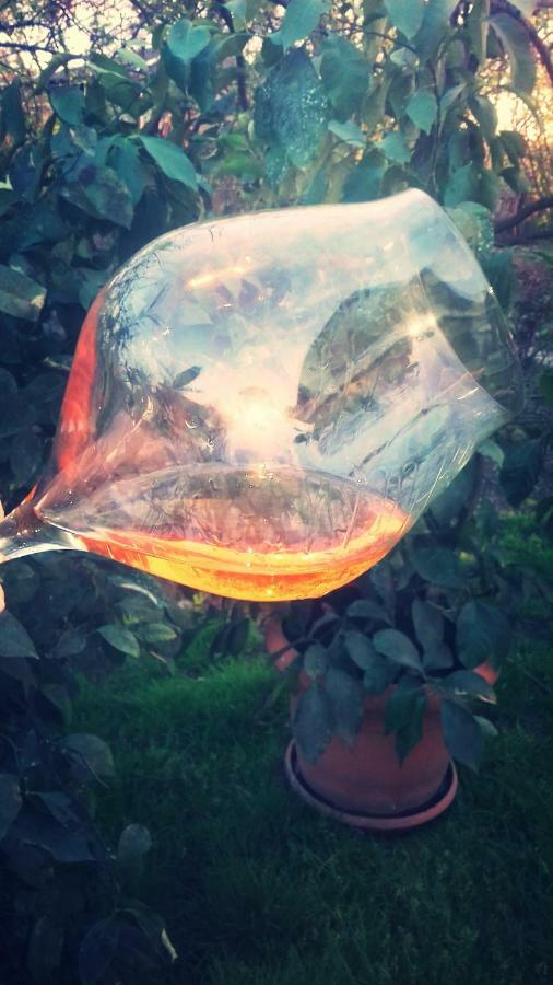 Cabernet Tali Ξενοδοχείο Τελάβι Εξωτερικό φωτογραφία